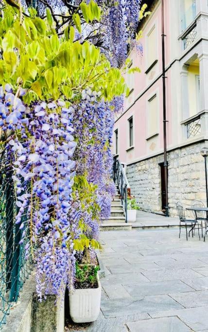 Charming & Luxury Villa Como Lake 外观 照片